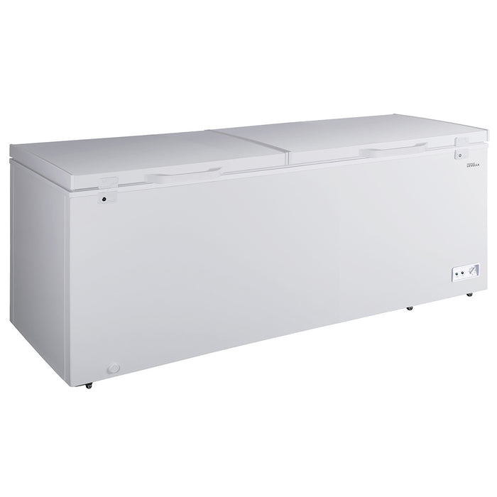 10.0 ft³ Chest Freezer